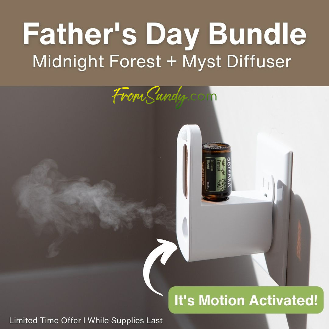 Midnight Forest + Myst Diffuser | From Sandy