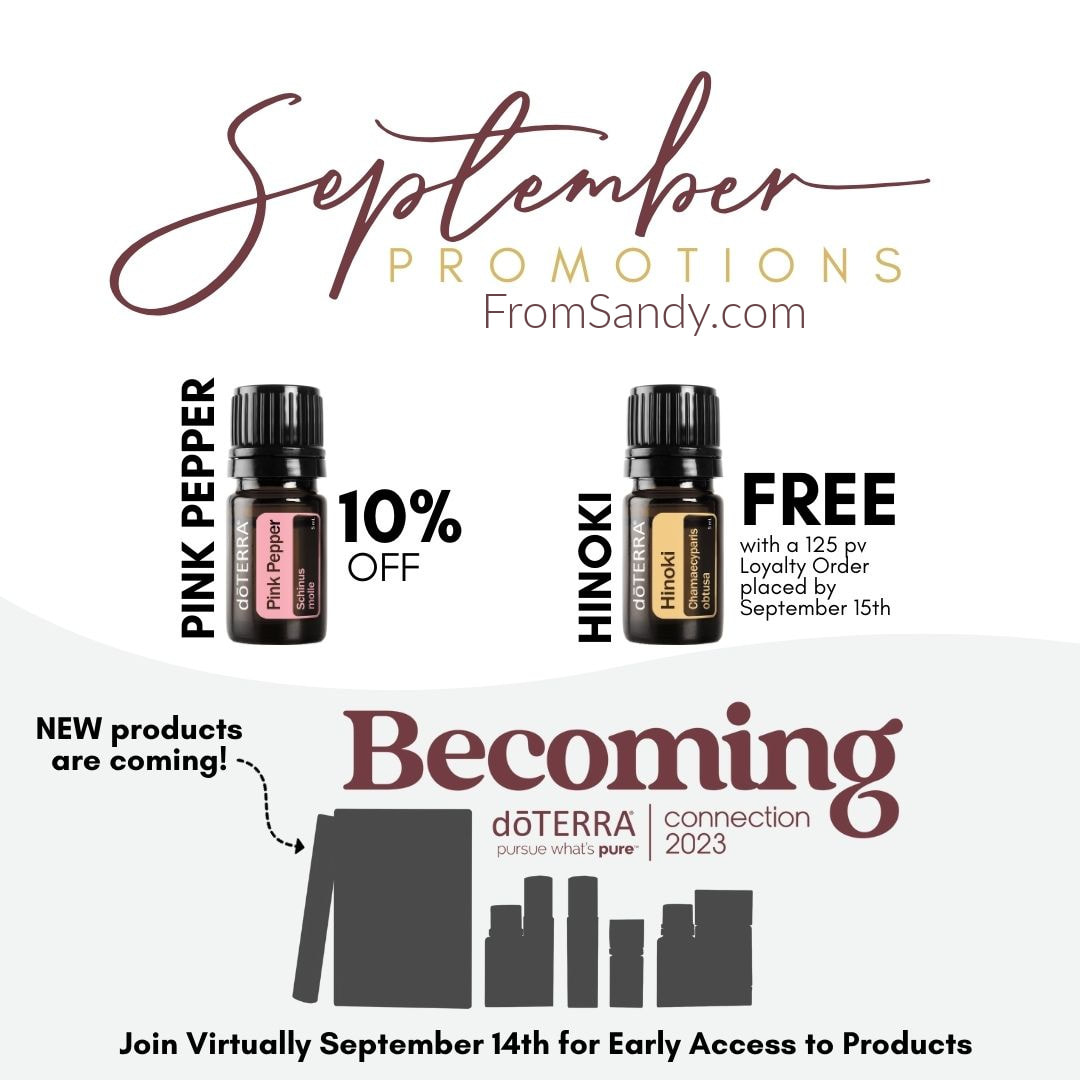 August Promos, From Sandy