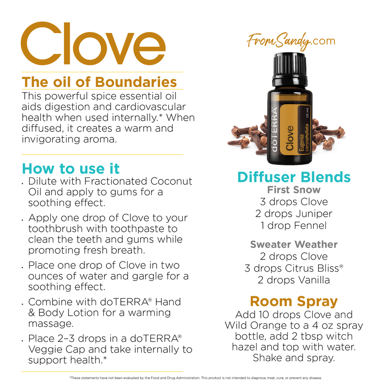 Clove Uses, From Sandy