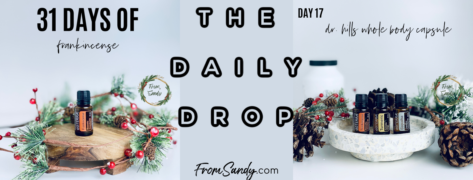 Dr. Hill's Whole Body Capsule (31 Days of Frankincense: Day 17), From Sandy