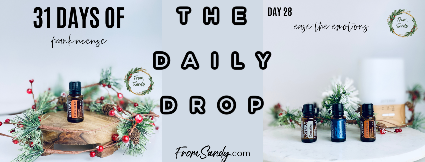 Ease the Emotions (31 Days of Frankincense: Day 28), From Sandy