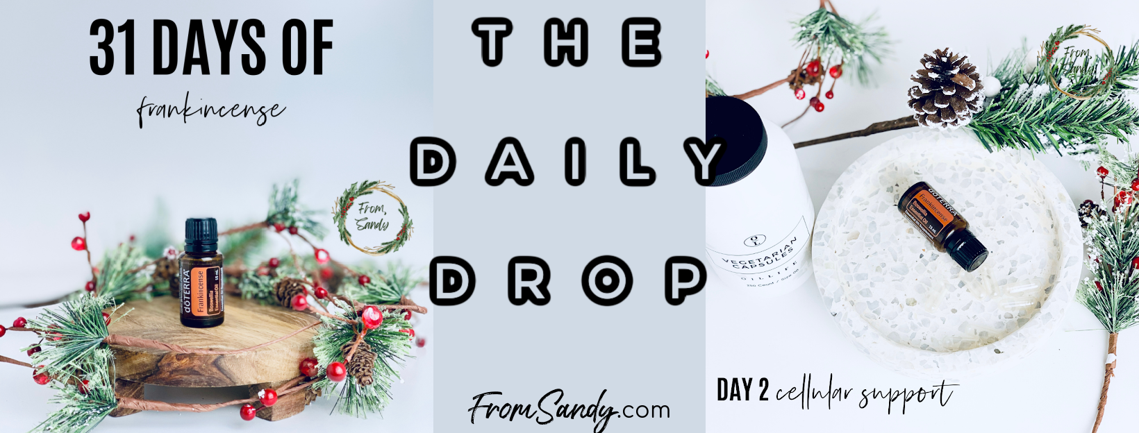 Cellular Support (31 Days of Frankincense: Day 2), From Sandy