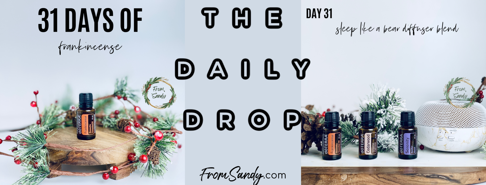 Sleep Like a Bear Diffuser Blend (31 Days of Frankincense: Day 31), From Sandy