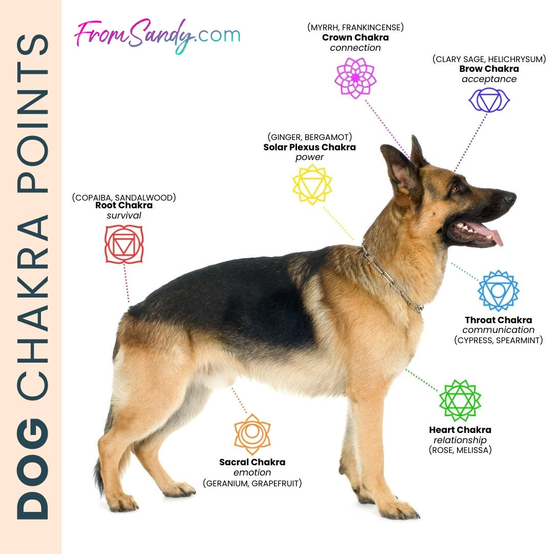 Chakra Points | From Sandy