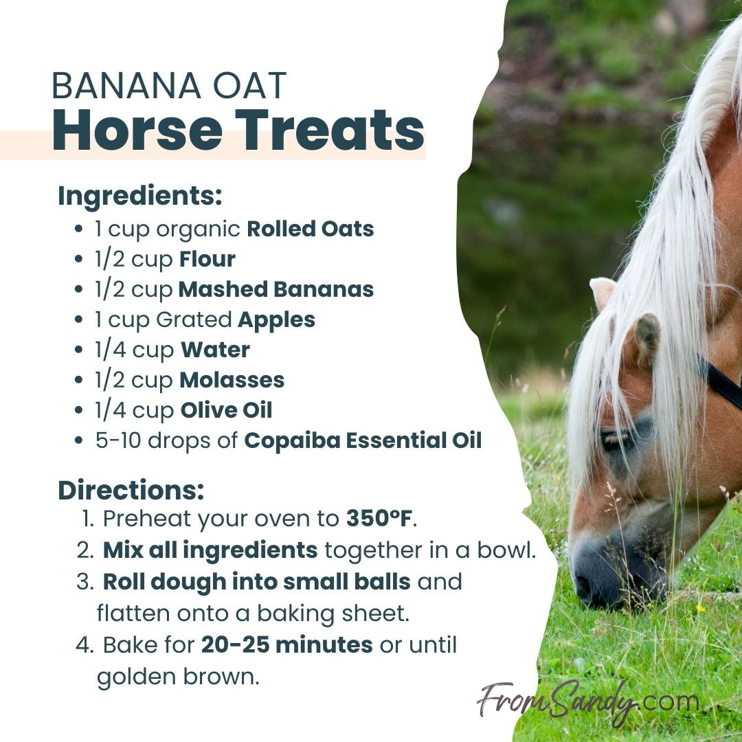 Banana Oat Horse Treats | From Sandy