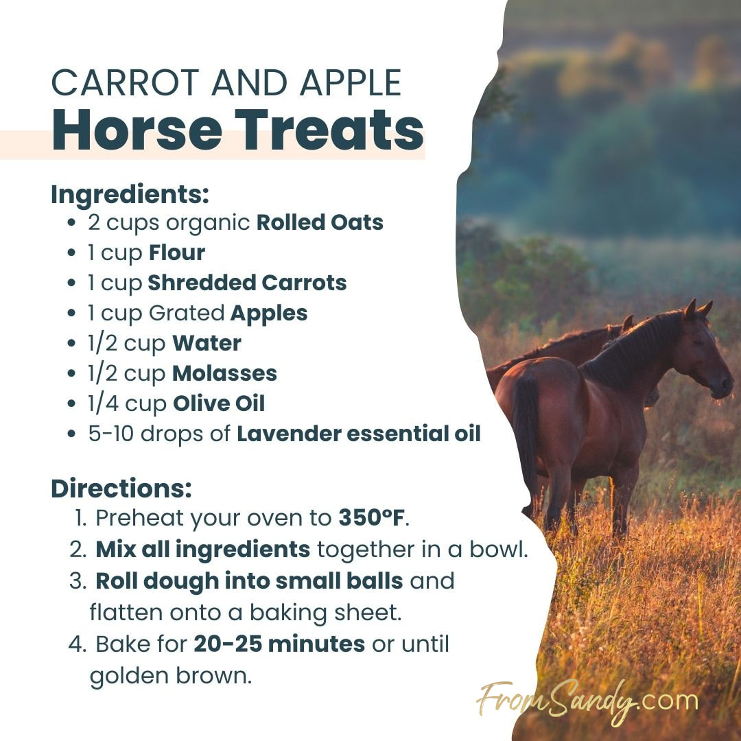 Carrot and Apple Horse Treats | From Sandy