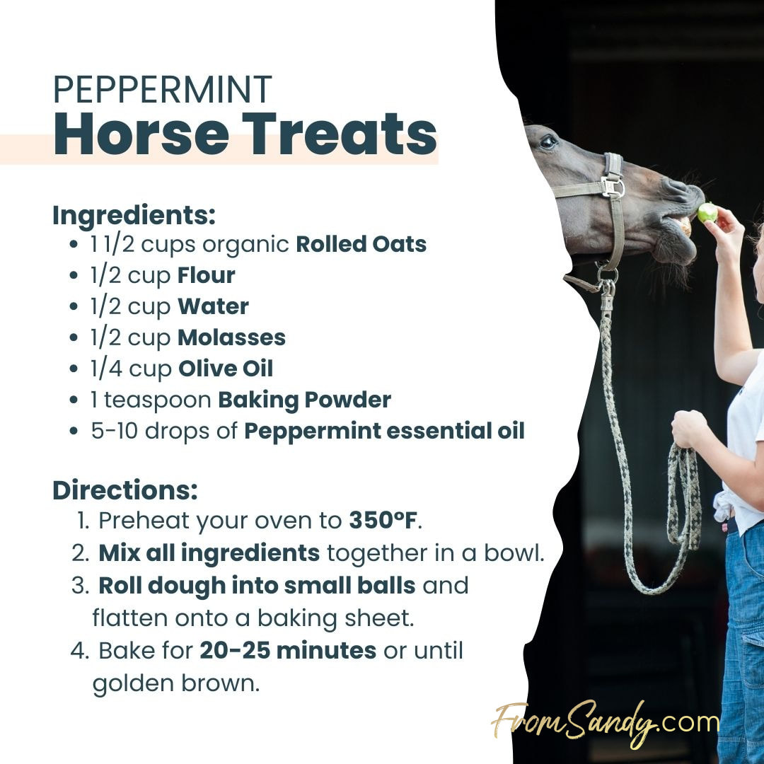 Peppermint Horse Treats | From Sandy