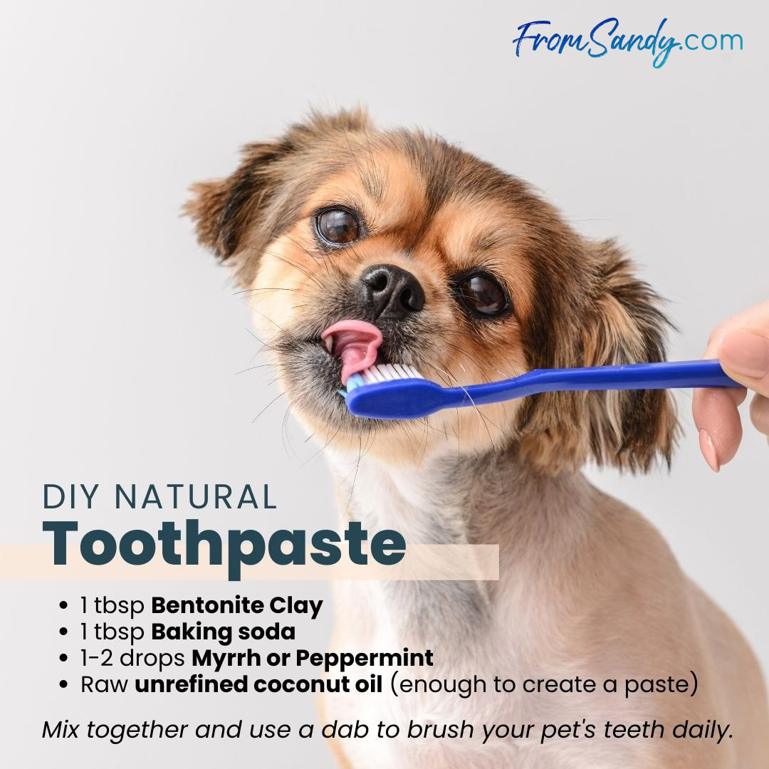 DIY Natural Toothpaste | From Sandy