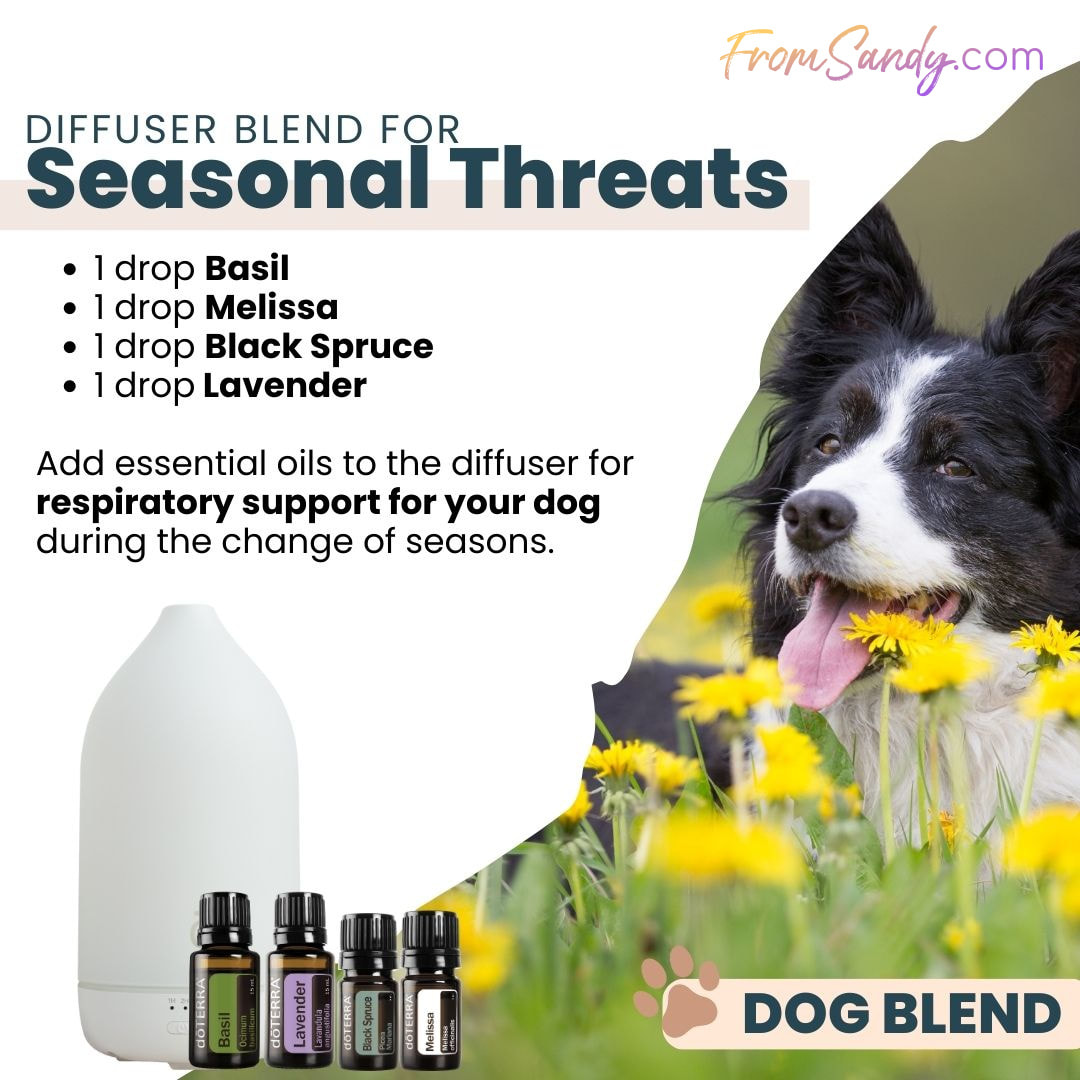 Animal Diffuser Blends for Seasonal Threats | From Sandy
