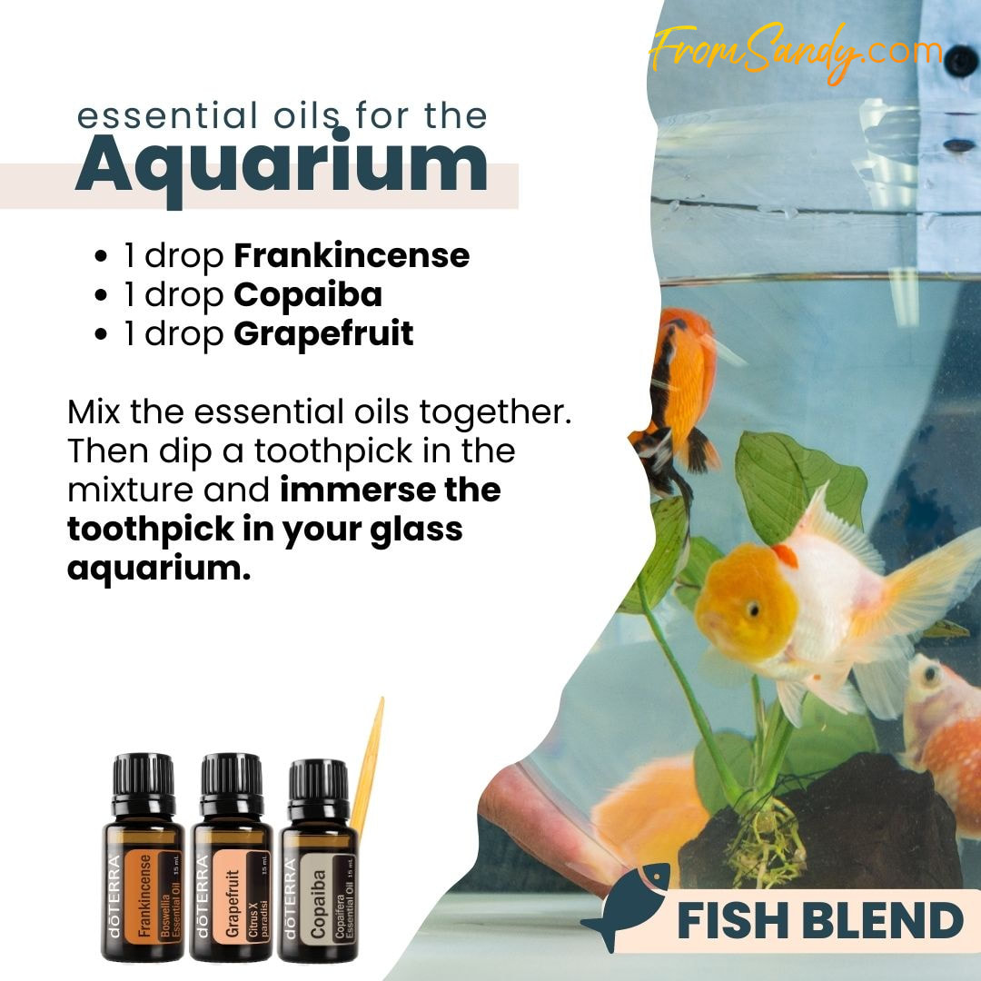 Essential Oils for the Aquarium | From Sandy