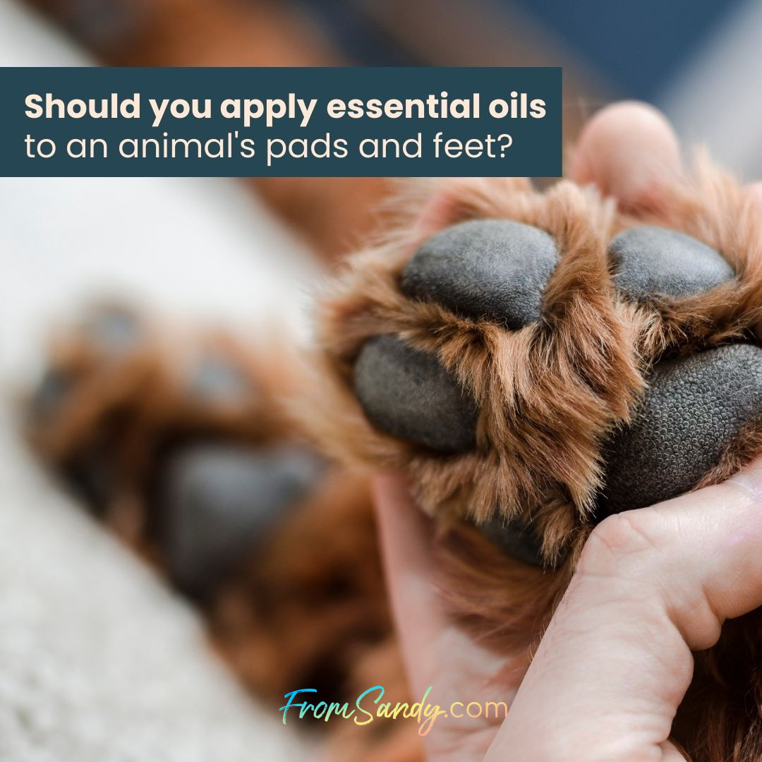 Avoid Pads and Feet | From Sandy