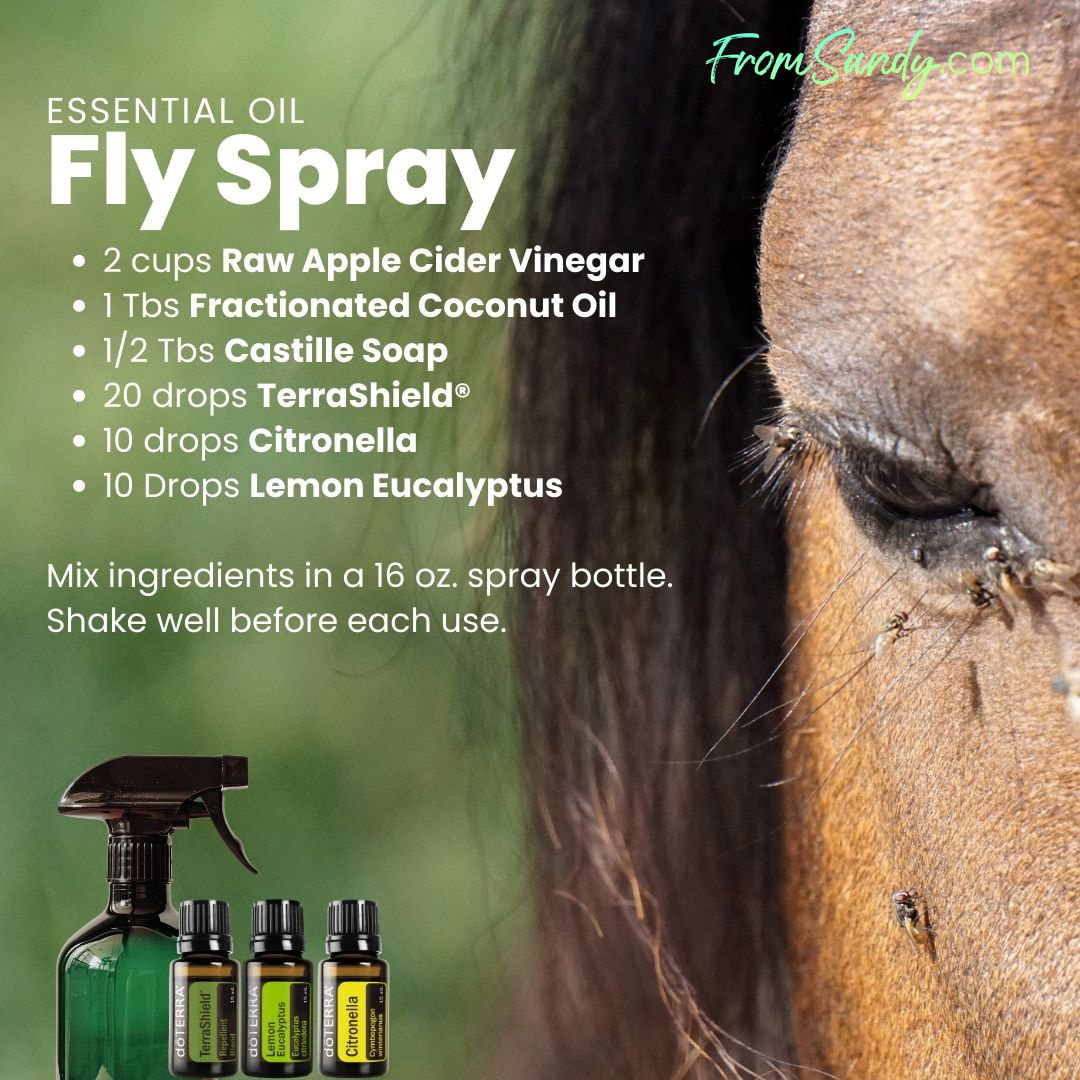 Fly Spray | From Sandy