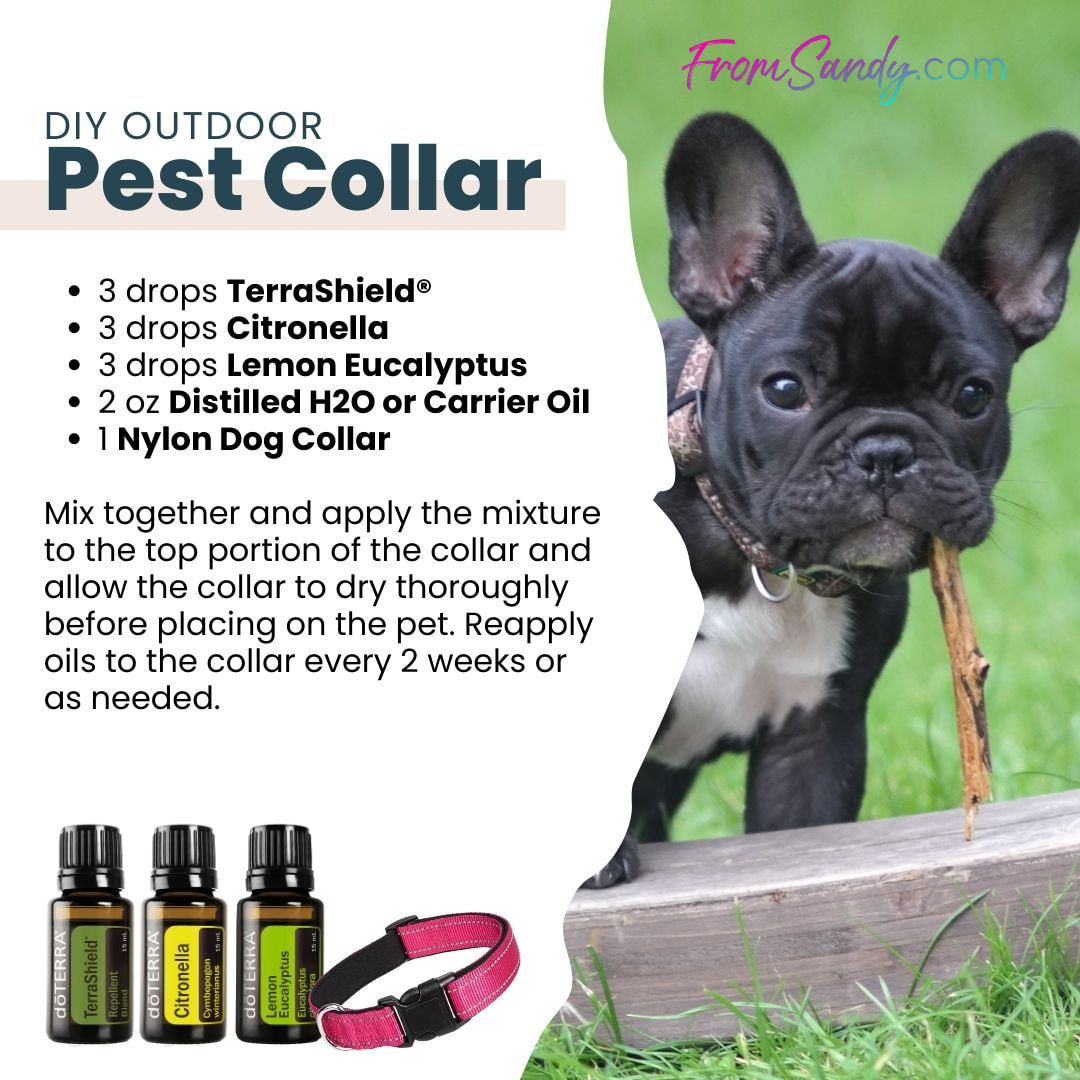 Outdoor Pest Collar | From Sandy