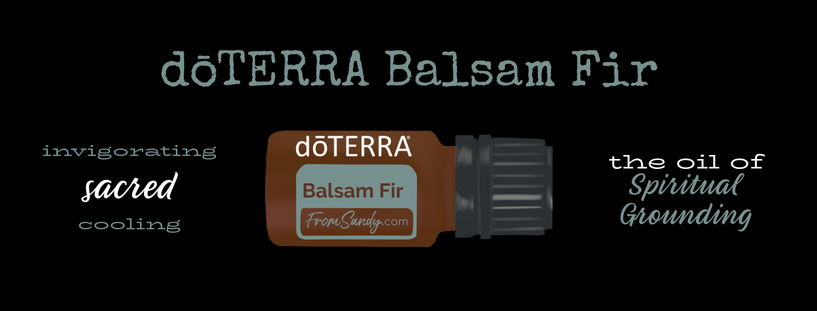 Balsam Fir Essential Oil | From Sandy