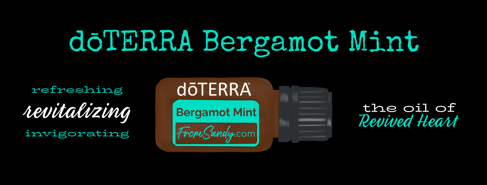 Bergamot Mint Essential Oil | From Sandy