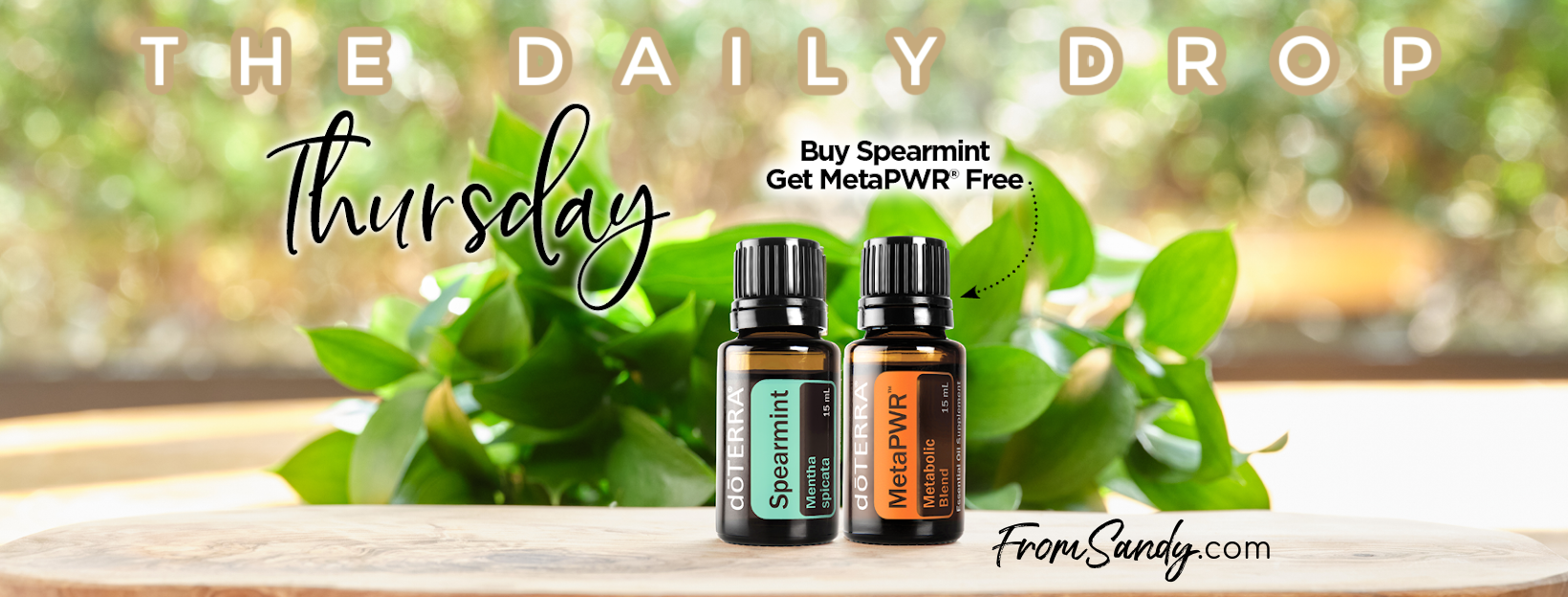 DIGEST: Buy Spearmint, Get MetaPWR Free (3/23/23 ONLY) | From Sandy