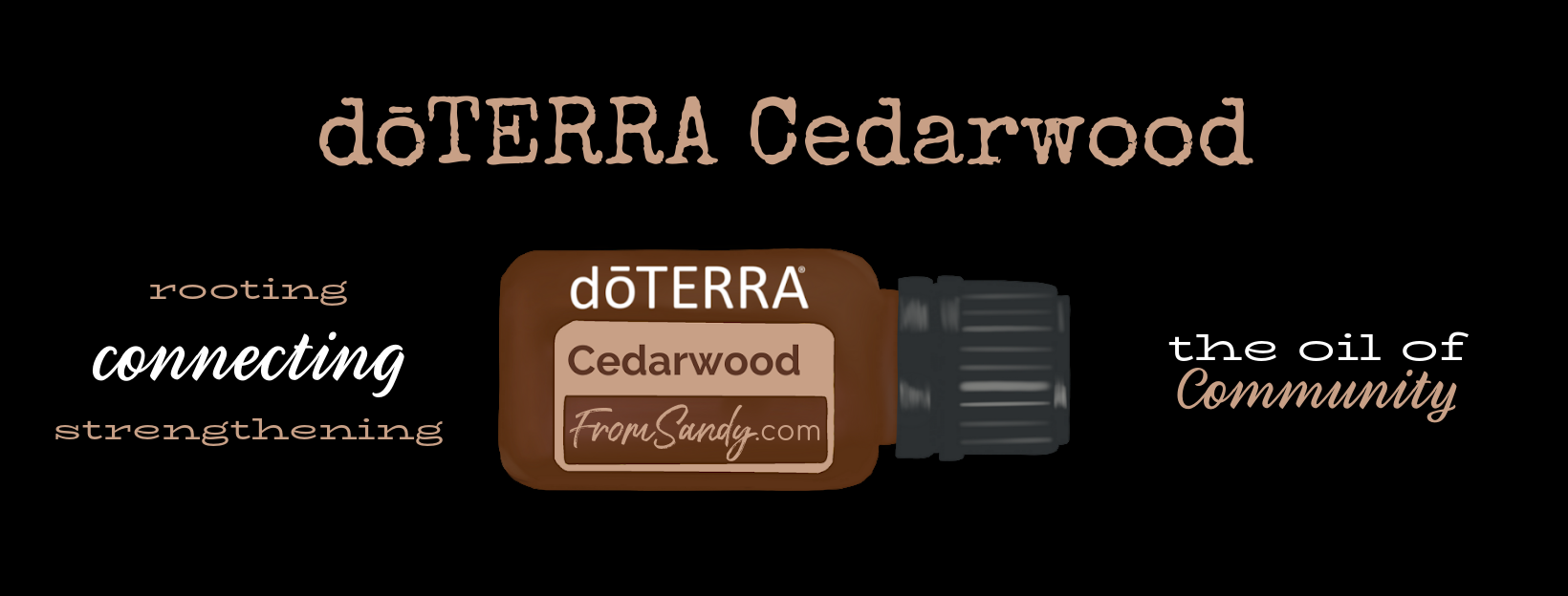 Cedarwood Essential Oil | From Sandy