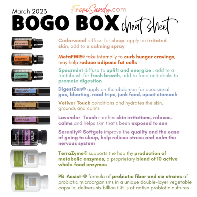 Rest & Digest BOGO Box Bundle | From Sandy