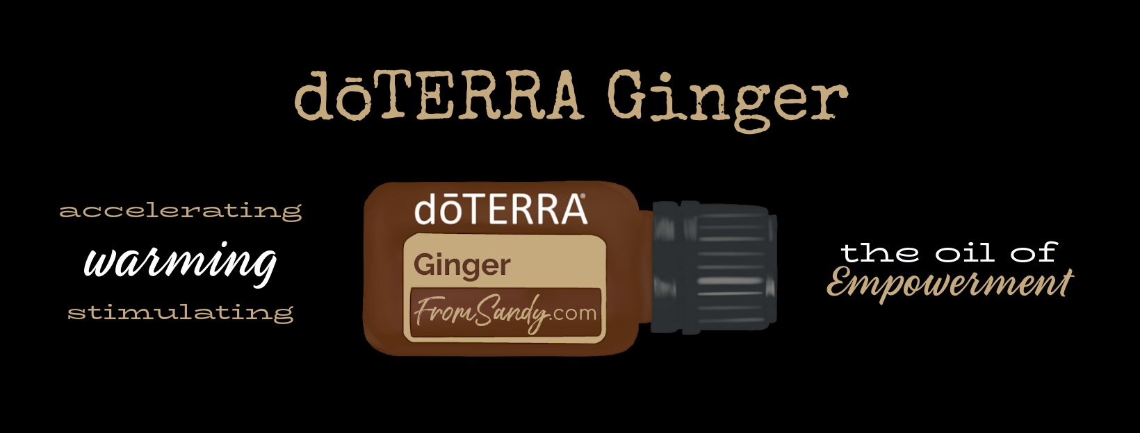 Ginger Essential Oil | From Sandy