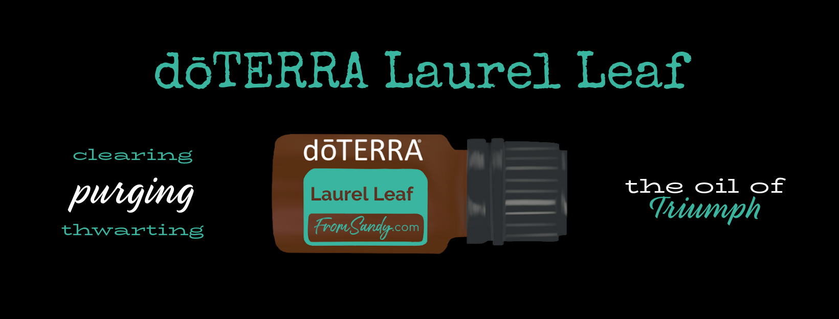 Laurel Leaf Essential Oil | From Sandy