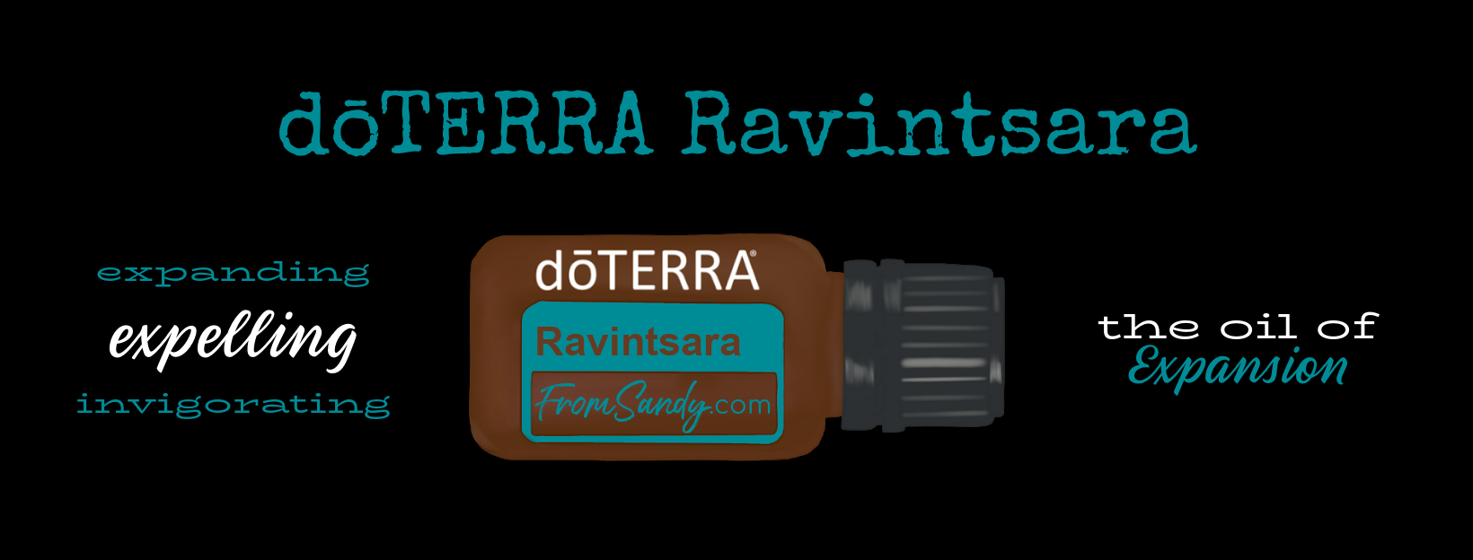 Ravintsara Essential Oil | From Sandy
