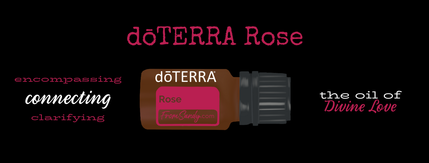 Rose Essential Oil | From Sandy